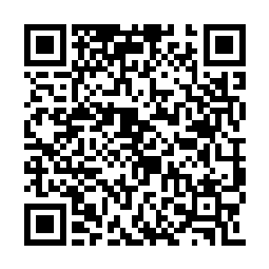 有的人在街上被人撞了一下肩膀就要杀人家全家二维码生成