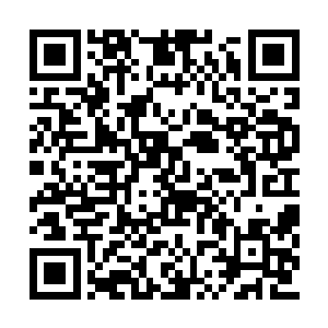 有的人或许在关注着某个小岛上两个明星的婚礼二维码生成