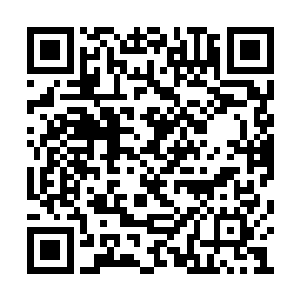 有的人甚至为了买到云深的股票而不惜到处借钱二维码生成