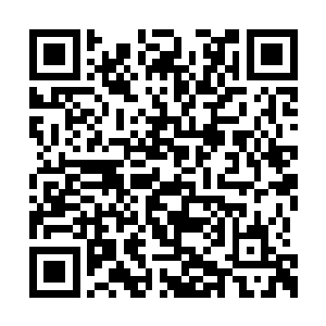 有的只是一颗普通长辈迫切想要和亲人相认的心二维码生成