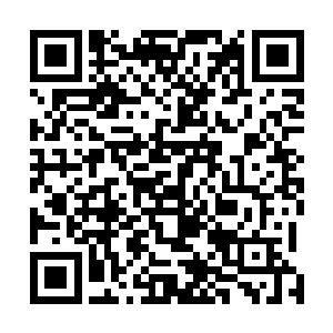 有的只是此处轮回界赋予他的实力和自己本身的阅历经验二维码生成