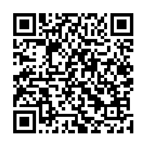 有的只是立场不同和各自在食物链中所处的位置不同而已二维码生成