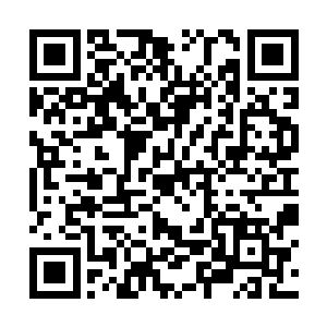 有的小说从故事开始到结尾才一两个月的时间段~呵呵二维码生成