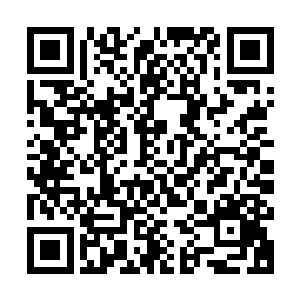 有的拍摄回来的是张东城与钟志国拿着话筒在舞台上的一举一动二维码生成