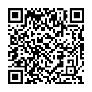 有的拍摄回来的是皇后乐队的三人再度引爆全场二维码生成