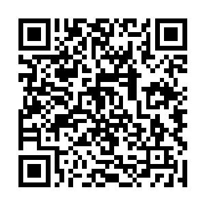 有的时候他会爬上元山的最高峰踮着脚尖朝山外面看二维码生成