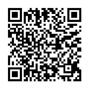 有的时候她也会偶尔看到街道内来来往往颜色不一的轿车二维码生成