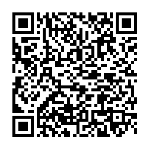有的时候马特都怀疑这是不是自己的儿子要不是如何能蠢成这般模样二维码生成