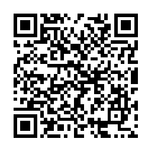 有的粉丝的关注点在珍妮弗私下表现出的活泼一面二维码生成