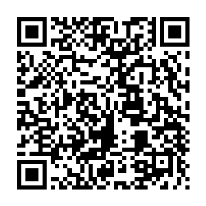 有的记者拍摄回来的是英国皇家爱乐乐团乐手们认真而严肃的表情二维码生成
