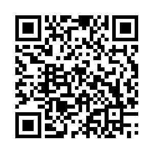 有的还抱着小黑龙的腿试图往它身上爬着二维码生成