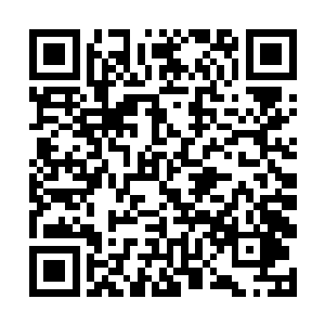 有的还没等到罗楼说出火便葬身在了汪洋和地震之下二维码生成
