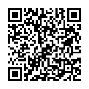 有的进化者就因为得到了远古强者遗留下来的力量变得声名鹊起二维码生成