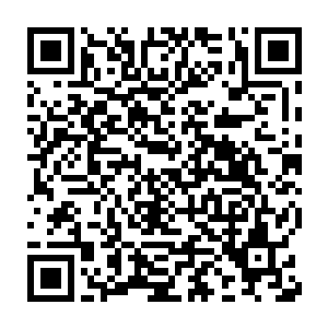 有着一个化神中期和一个化神初期大修士在我们太玄宗山门之前陨落二维码生成