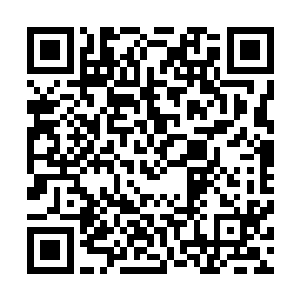 有着一干上万人的队伍运着许多价值不菲的物品卖力的走着二维码生成