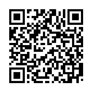 有着一颗古老的梧桐树盘根在那里二维码生成