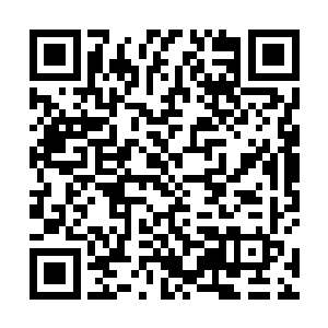有着东西方都能接受并且都觉得美极了的黄金比例面孔二维码生成