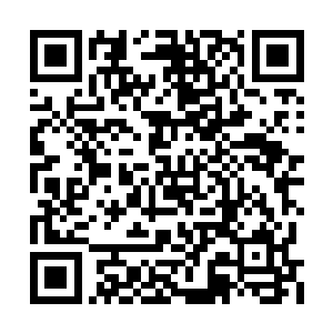 有着八成的把握在结盟大会之前突破到圣级九层二维码生成