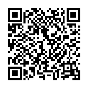 有着后世知识的马纵横自是万万不敢在密林内屯兵二维码生成