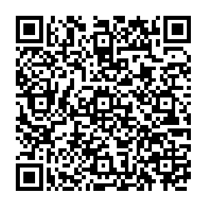 有着强大体系和生产能力的太夏的上四军更是开始独立研发新型的烛油飞机和烛油武器二维码生成