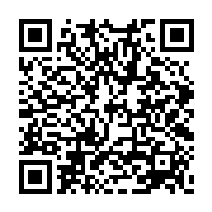 有着浩瀚的信息像洪水爆发一般冲进了他的大脑二维码生成
