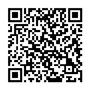 有着聚元境八重修为的容刚至少还剩下五十元珠可用二维码生成