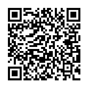 有着许紫烟对那只圣级大圆满后期巅峰混沌兽的牵制二维码生成