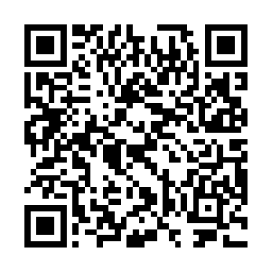 有着连藩国革新都难以清除几朝十几朝积累下来的业障二维码生成