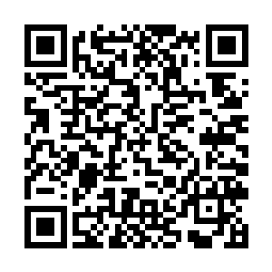 有着锋利爪子和会喷风刃的九风却是可怕的天敌之一二维码生成