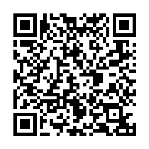 有种早晨树林子里的感觉……会不会是女人的香水……二维码生成