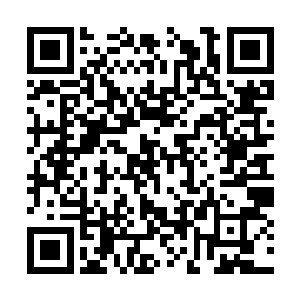 有空闲的人不管男女全都去收那些地里种植的庄稼二维码生成