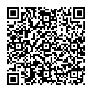 有粉红票的战友给张粉红票没有粉红票的战友给张推荐票也行啊多少让我上推荐榜啊二维码生成