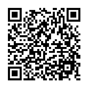 有经验的道劫境都给派出去联合其他门派对付道劫了二维码生成