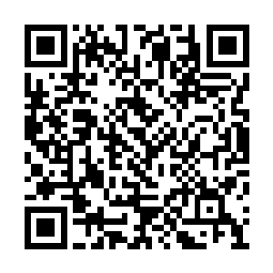 有能力和仙界对抗的宇宙修士就只有沧海一个人二维码生成