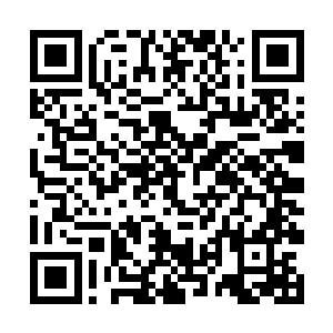 有至少上百位妖族大能正在栖霞界上空施展黑暗天梯二维码生成