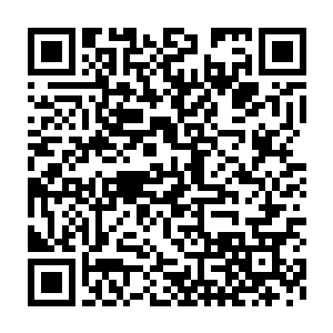 有角人刻意打压才造成无角人没有中高级以上的骨器师出现的情况二维码生成
