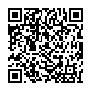 有角人就算使用谋算也应该勇于承担自己的过错二维码生成