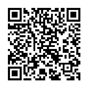 有角人的卫兵和三名殿下的侍卫也不可能坐看无角人这么肆掠二维码生成