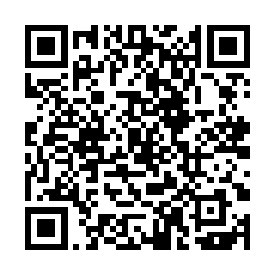 有角人的心脏会因为体形缘故比无角人的稍微大一圈二维码生成