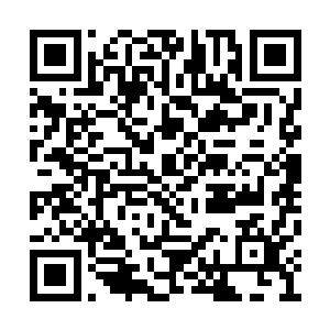有许多东西他还是不得不采纳一下别人的意见的二维码生成