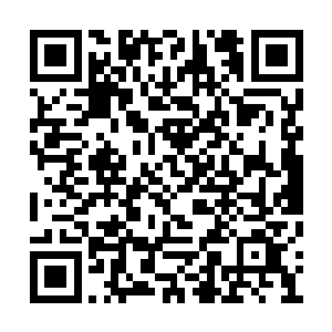 有许多观众都是认为安迪最终没有选择回归家庭二维码生成