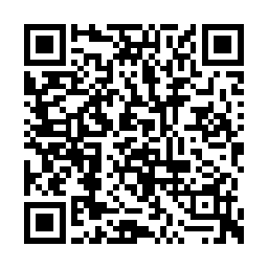 有资格上朝的大臣也都会带上所有家眷前来御园二维码生成