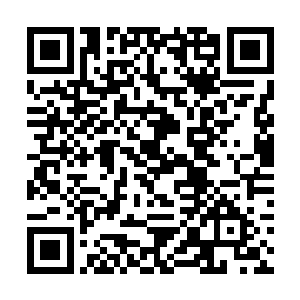 有资格站在大殿内的大臣都是朝堂里举足轻重的一员二维码生成