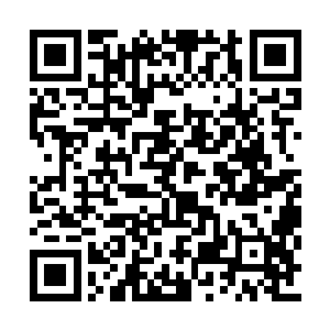 有足够的闲置资金投给梦想家和冒险家们去烧钱二维码生成