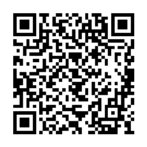 有这么一股庞大的力量的支持加上龙傲天的分身二维码生成