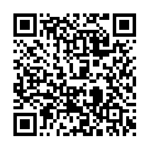 有这样的胆子还指不定是被哪个大人物撺掇的呢二维码生成