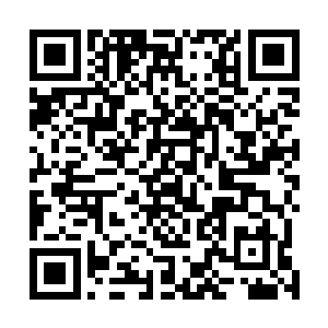 有道集团派出战略发展事业部副总经理傅采宁到机场接机二维码生成