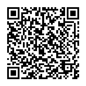 有道集团燕京分公司的工作人员将酒会拍卖所得明细形成中英文文档二维码生成