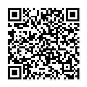 有那么一个颜控并且长得太好的主子果然是一种作死二维码生成