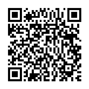 有那么一瞬间我真的有在动摇――但我想我最终还是会反悔的二维码生成